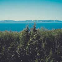 手机攻击器APP下载