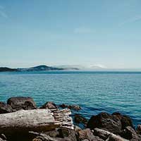 服务器攻击软件