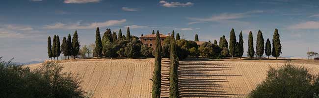 在线DDOS压力测试网页端