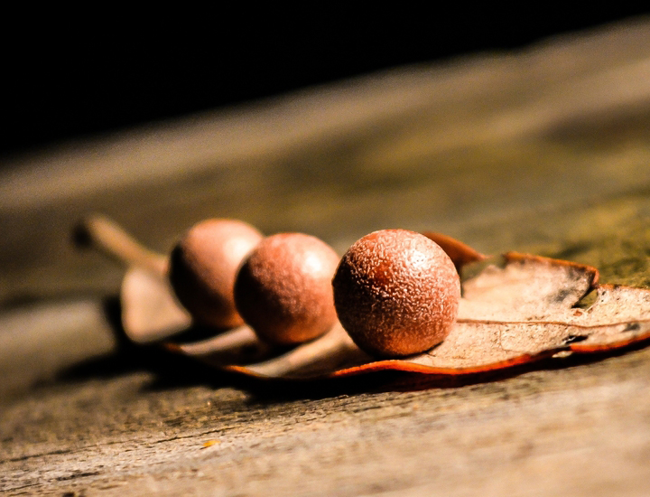 CC在线压力测试